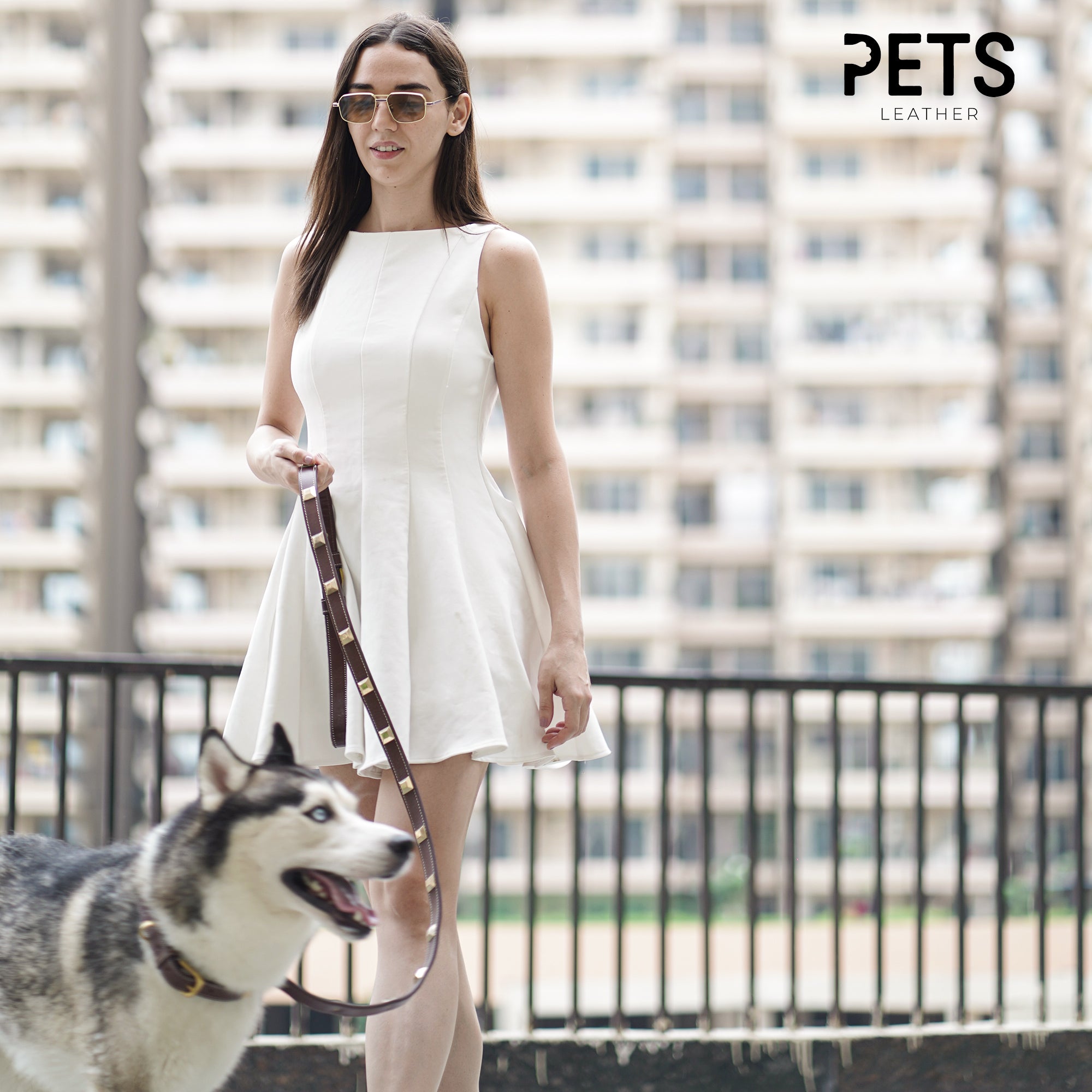 Best Dog Collars for Small Dogs: Comfortable & Fancy Options That Combine Style and Safety